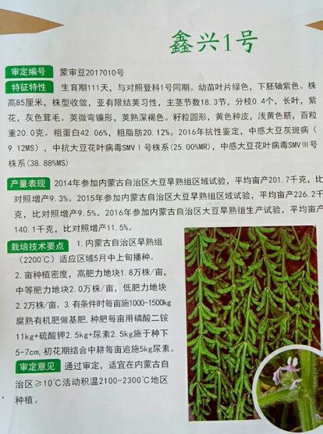 鑫興1號(hào).png